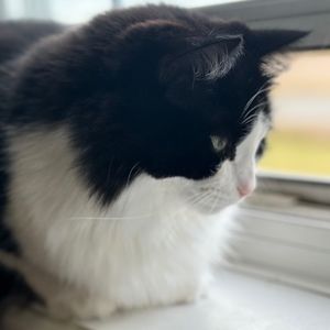 Meet your Posher, Jasmine